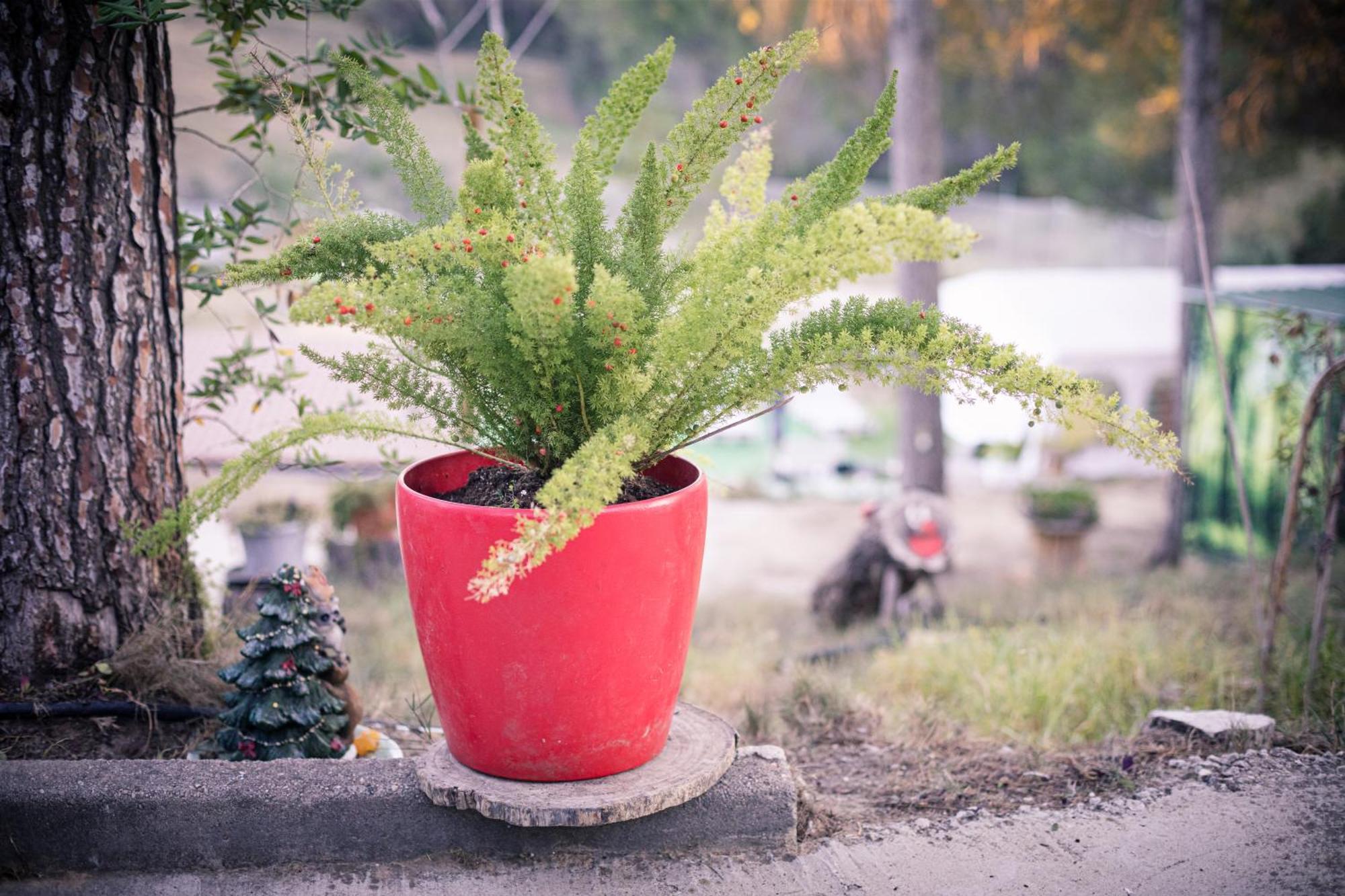 Villa Chetrus Casa En Plena Naturaleza รูบี ภายนอก รูปภาพ